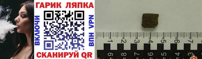 ГАШ Изолятор Руза