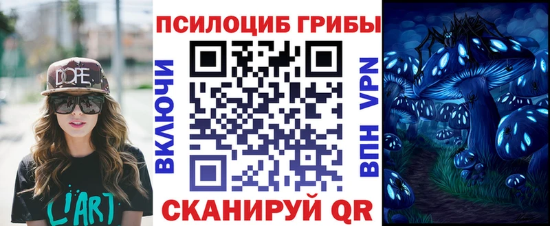 ссылка на мегу ТОР  где купить наркотик  Руза  мориарти телеграм  Псилоцибиновые грибы Psilocybe 